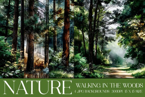 Download Walk in the Woods Nature Backgrounds, S3 - Premium Resources