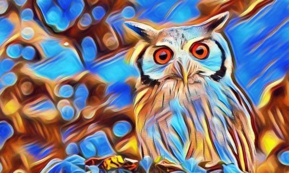Download Owl Premium Digital Paper VOL-1 - Digital Collection
